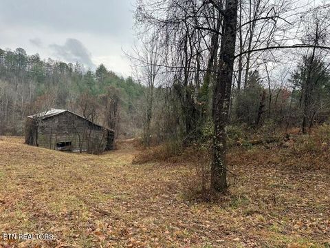 Tiny photo for 680 Bug Branch Rd, Del Rio, TN 37727 (MLS # 1322852)