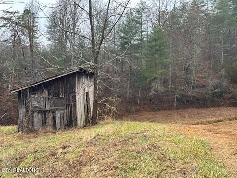 Tiny photo for 680 Bug Branch Rd, Del Rio, TN 37727 (MLS # 1322852)