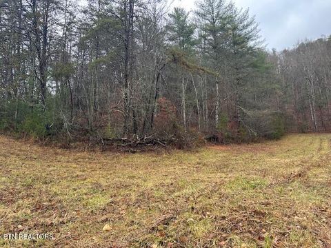 Tiny photo for 680 Bug Branch Rd, Del Rio, TN 37727 (MLS # 1322852)