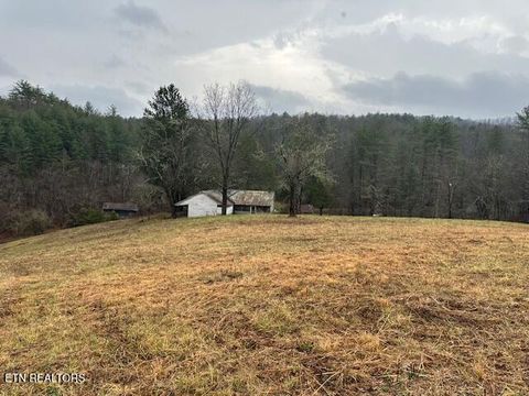 Tiny photo for 680 Bug Branch Rd, Del Rio, TN 37727 (MLS # 1322852)