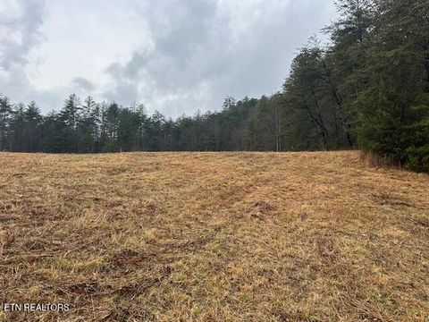 Photo of 680 Bug Branch Rd, Del Rio, TN 37727 (MLS # 1322852)