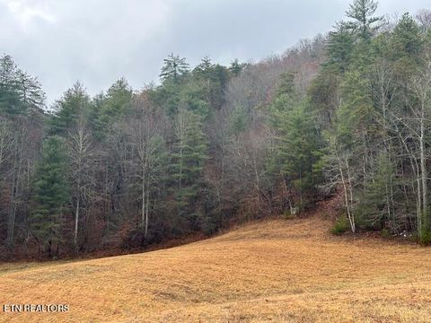 Tiny photo for 680 Bug Branch Rd, Del Rio, TN 37727 (MLS # 1322852)