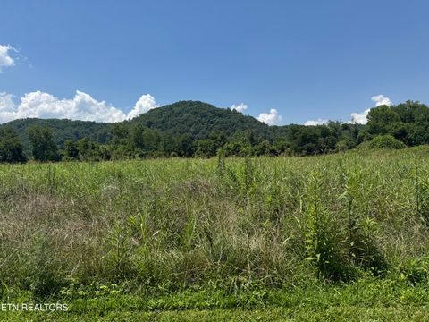 Tiny photo for 4 River Rapids Way Lot # 4, Del Rio, TN 37727 (MLS # 1311757)