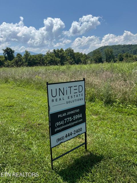 Tiny photo for 4 River Rapids Way Lot # 4, Del Rio, TN 37727 (MLS # 1311757)