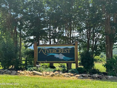 Tiny photo for 4 River Rapids Way Lot # 4, Del Rio, TN 37727 (MLS # 1311757)