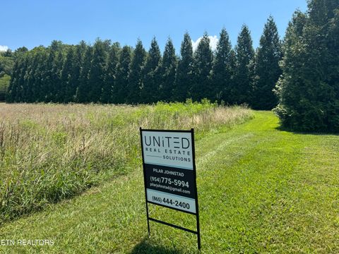 Tiny photo for 4 River Rapids Way Lot # 4, Del Rio, TN 37727 (MLS # 1311757)