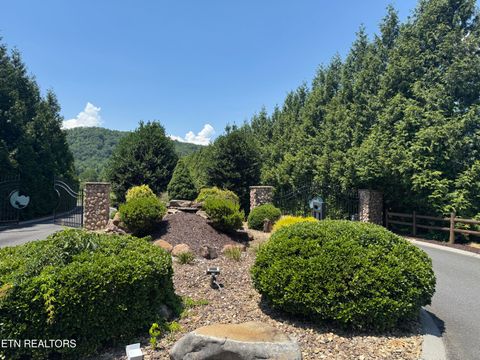 Tiny photo for 4 River Rapids Way Lot # 4, Del Rio, TN 37727 (MLS # 1311757)