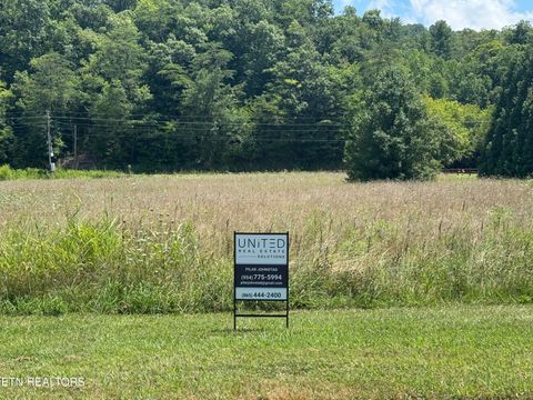 Tiny photo for 4 River Rapids Way Lot # 4, Del Rio, TN 37727 (MLS # 1311757)