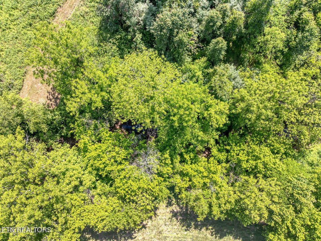 Photo of Boyds Creek Hwy, Sevierville, TN 37876 (MLS # 1339754)