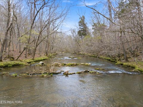 Tiny photo for 285 Suddath Rd, Ten Mile, TN 37880 (MLS # 1334560)