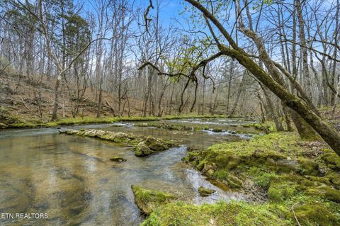 Tiny photo for 285 Suddath Rd, Ten Mile, TN 37880 (MLS # 1334560)