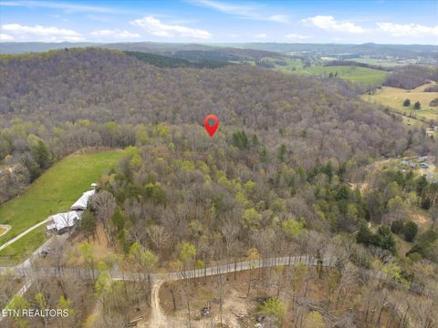 Tiny photo for 285 Suddath Rd, Ten Mile, TN 37880 (MLS # 1334560)