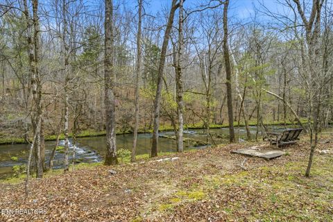 Tiny photo for 285 Suddath Rd, Ten Mile, TN 37880 (MLS # 1334560)