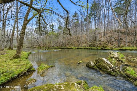Tiny photo for 285 Suddath Rd, Ten Mile, TN 37880 (MLS # 1334560)