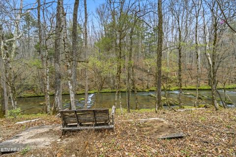 Tiny photo for 285 Suddath Rd, Ten Mile, TN 37880 (MLS # 1334560)