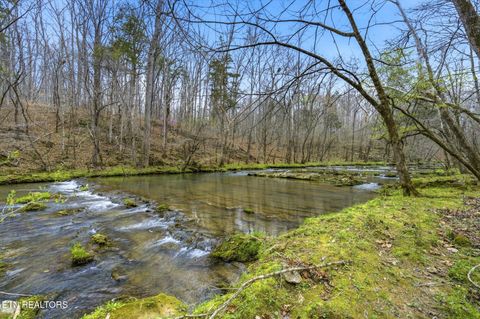 Tiny photo for 285 Suddath Rd, Ten Mile, TN 37880 (MLS # 1334560)