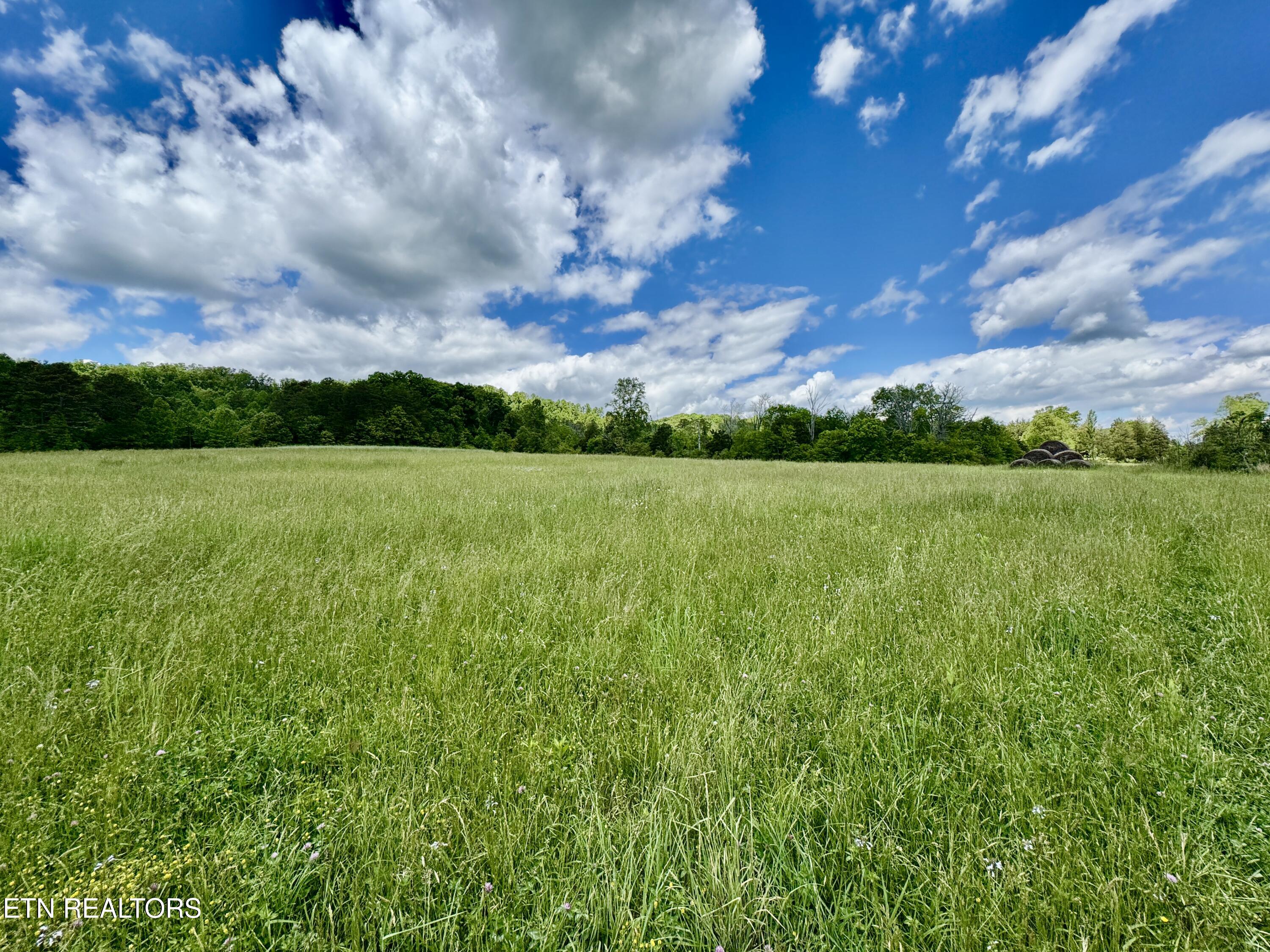 E Raccoon Valley Drive