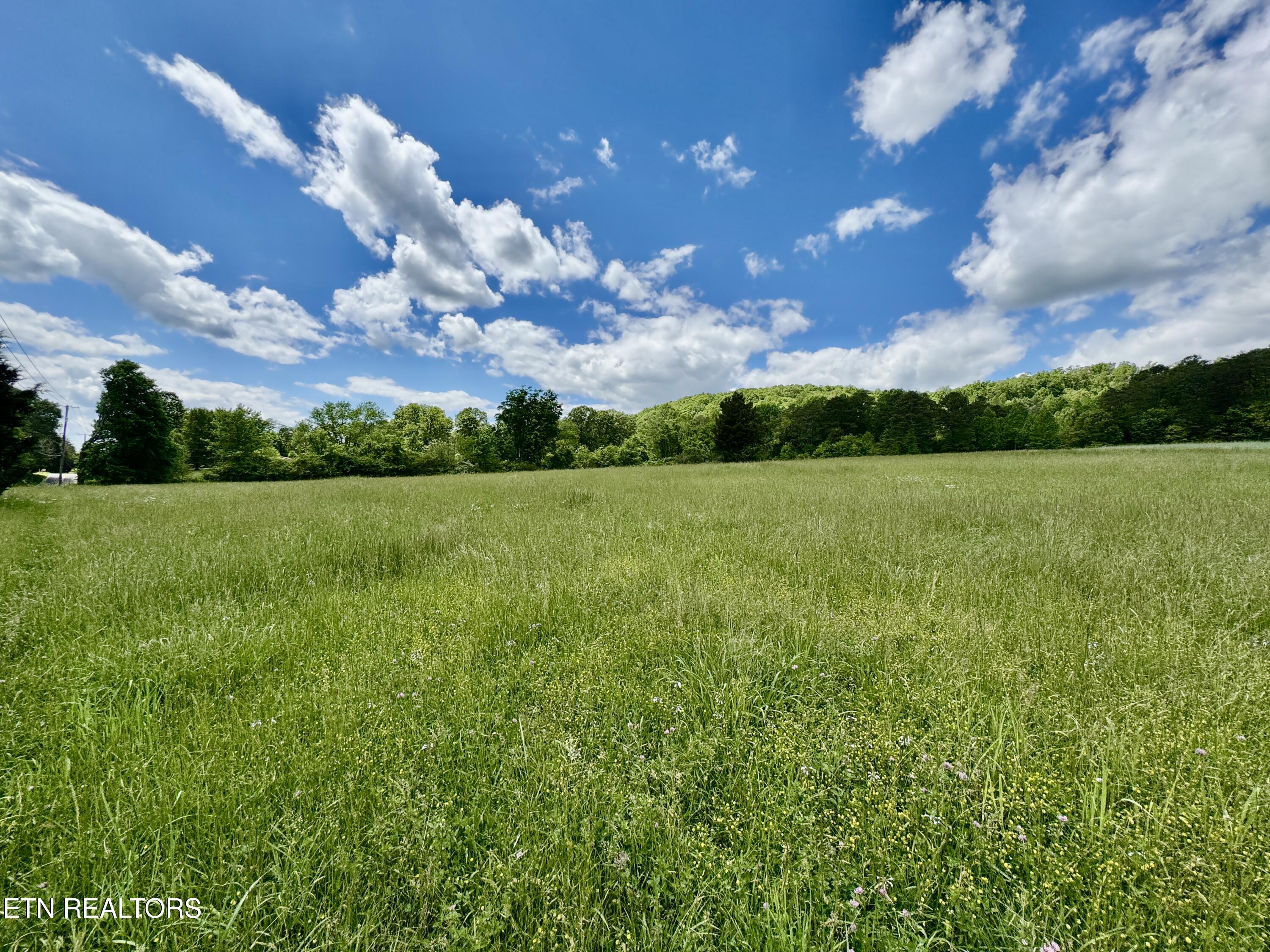 E Raccoon Valley Drive