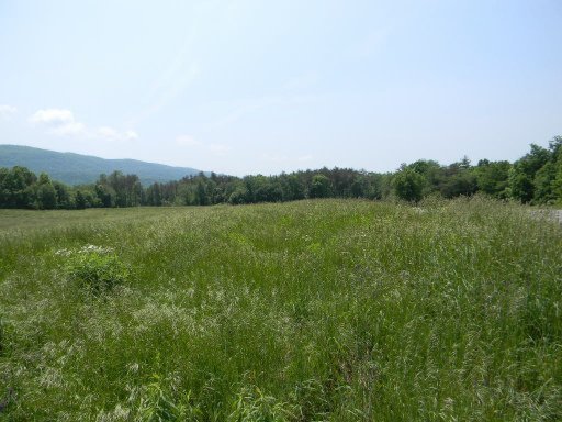Photo 15 of 28 of Lot 155 Houston Drive land