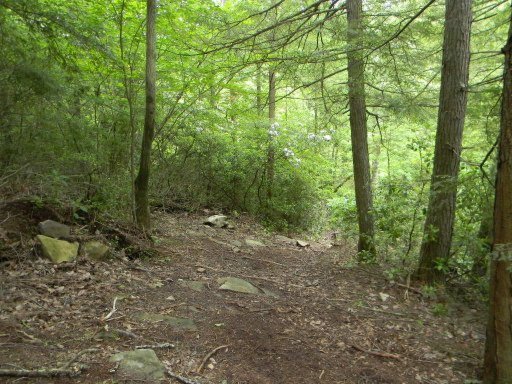 Photo 25 of 28 of Lot 155 Houston Drive land