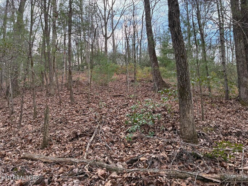 Photo of 00 Chestnut Mountain Rd, Reliance, TN 37369 (MLS # 1332930)