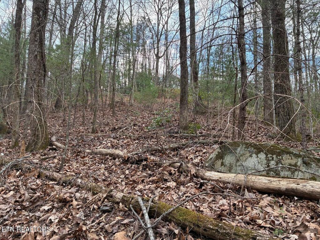Photo of 00 Chestnut Mountain Rd, Reliance, TN 37369 (MLS # 1332930)