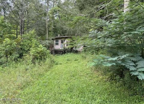 4585 Haire Rd Hartford TN 37753