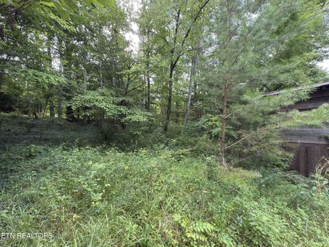 Tiny photo for 4585 Haire Rd, Hartford, TN 37753 (MLS # 1311855)