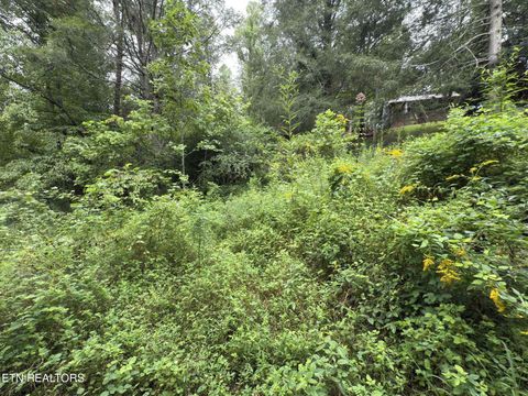 Tiny photo for 4585 Haire Rd, Hartford, TN 37753 (MLS # 1311855)