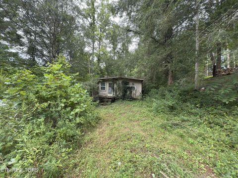 Tiny photo for 4585 Haire Rd, Hartford, TN 37753 (MLS # 1311855)