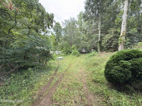 Tiny photo for 4585 Haire Rd, Hartford, TN 37753 (MLS # 1311855)