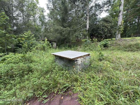 Tiny photo for 4585 Haire Rd, Hartford, TN 37753 (MLS # 1311855)