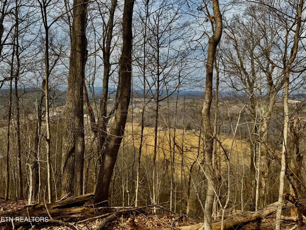 Photo of 0 New Highway 68, Madisonville, TN 37354 (MLS # 1296747)