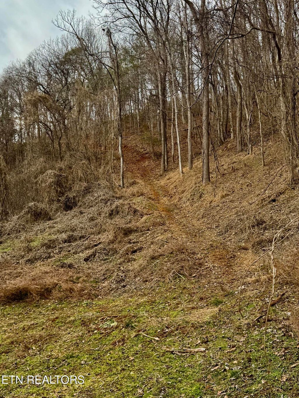 Photo of 0 New Highway 68, Madisonville, TN 37354 (MLS # 1296747)