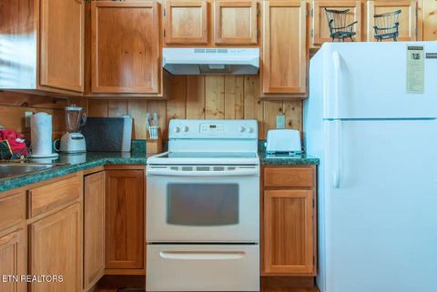 Tiny photo for 1519 Boo Boos Way, Sevierville, TN 37862 (MLS # 1335647)