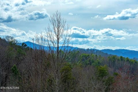 Tiny photo for 1519 Boo Boos Way, Sevierville, TN 37862 (MLS # 1335647)