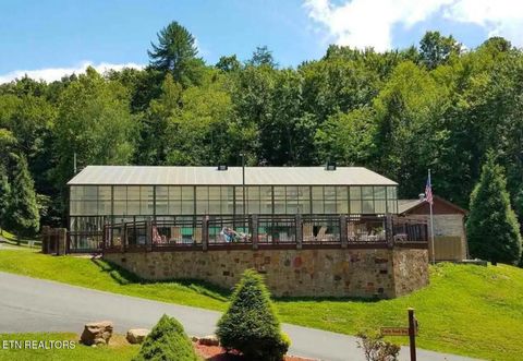 Tiny photo for 1519 Boo Boos Way, Sevierville, TN 37862 (MLS # 1335647)