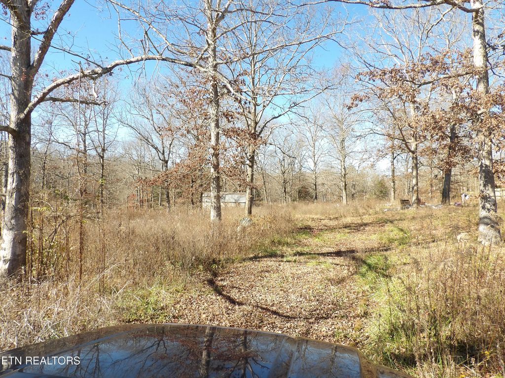 Photo of 1755 Tabor Loop, Crossville, TN 38571 (MLS # 1322610)