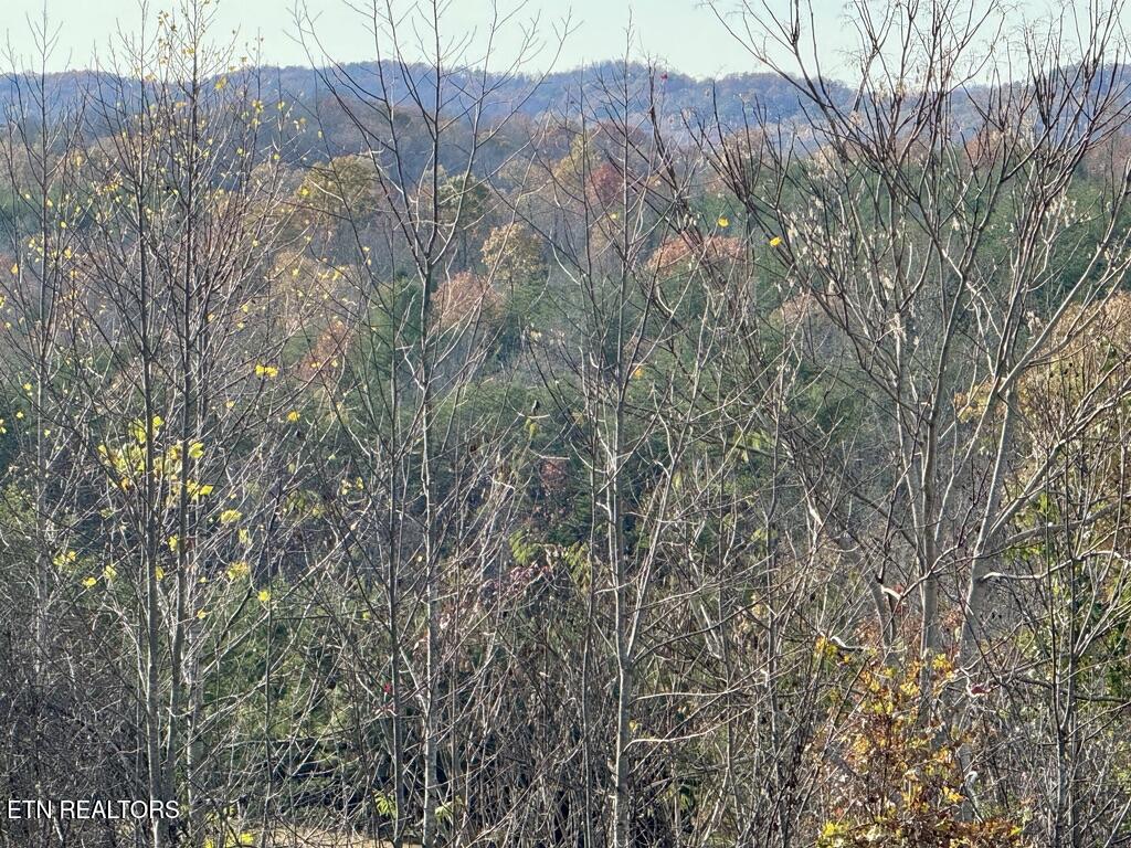 Tract 1 Three Point Rd