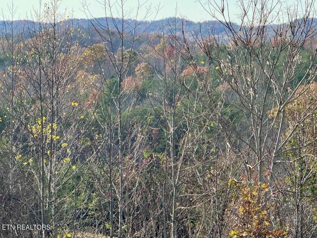 Photo of 1 Three Point Rd, Vonore, TN 37885 (MLS # 1283573)