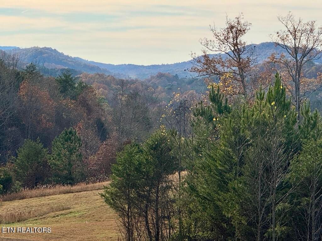 Photo of 1 Three Point Rd, Vonore, TN 37885 (MLS # 1283573)