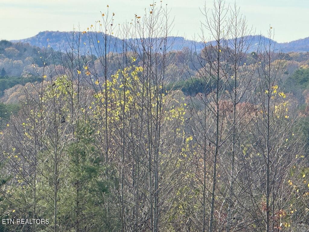 Tract 1 Three Point Rd