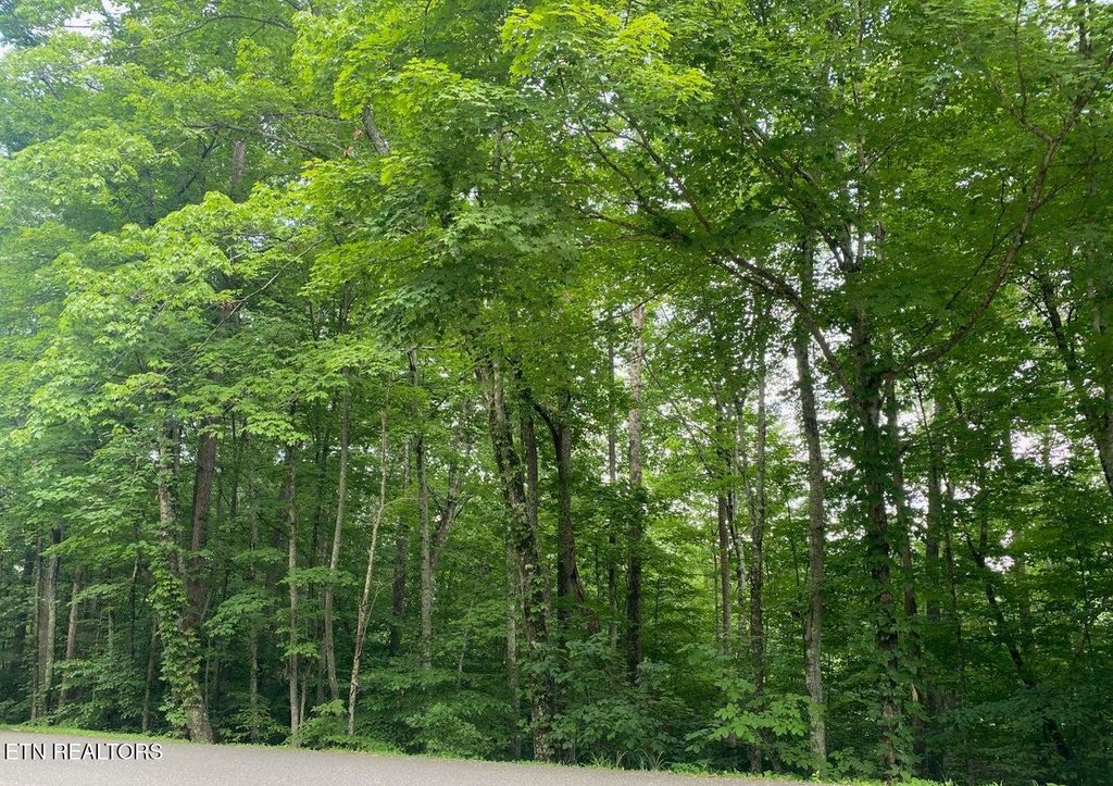 Photo of 0 Cove Norris Rd, Caryville, TN 37714 (MLS # 1336972)