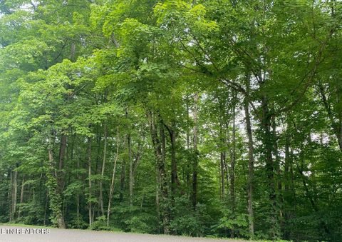 Tiny photo for 0 Cove Norris Rd, Caryville, TN 37714 (MLS # 1336972)