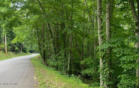 Tiny photo for 0 Cove Norris Rd, Caryville, TN 37714 (MLS # 1336972)