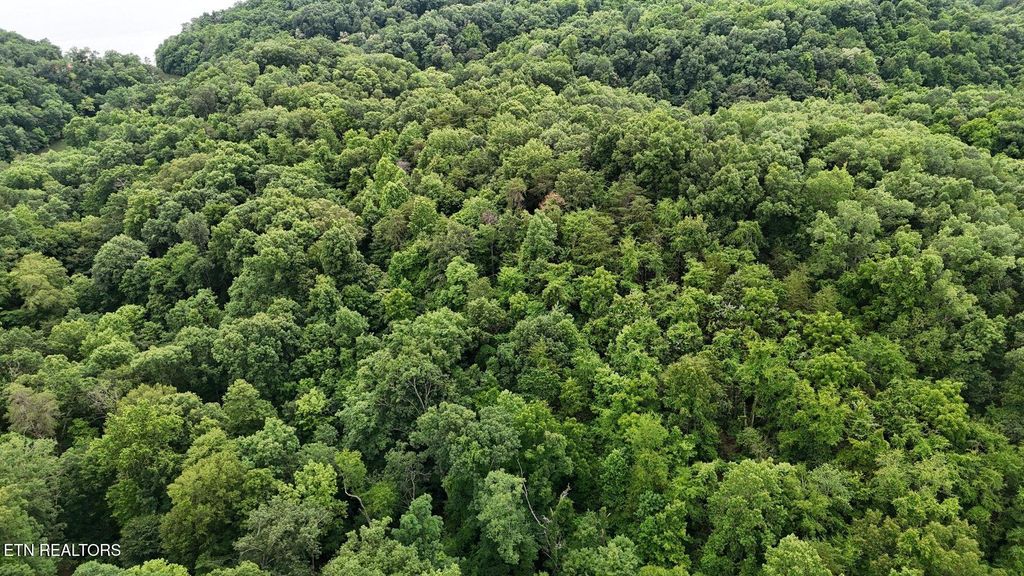 Photo of Fortunato Drive, Baneberry, TN 37890 (MLS # 1315082)