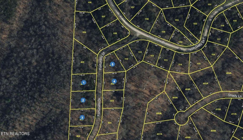 Photo of Fortunato Drive, Baneberry, TN 37890 (MLS # 1315082)