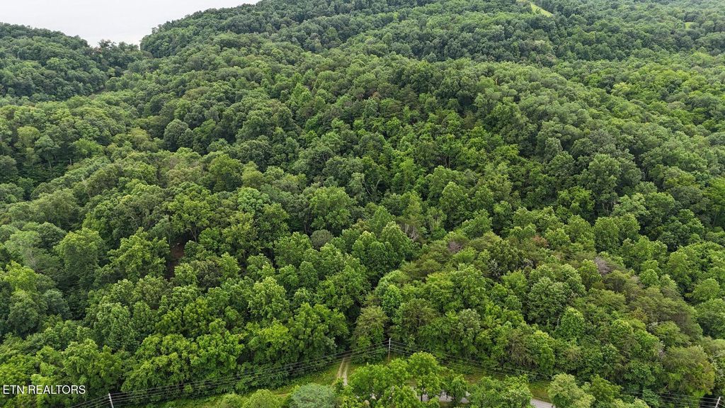 Photo of Fortunato Drive, Baneberry, TN 37890 (MLS # 1315082)