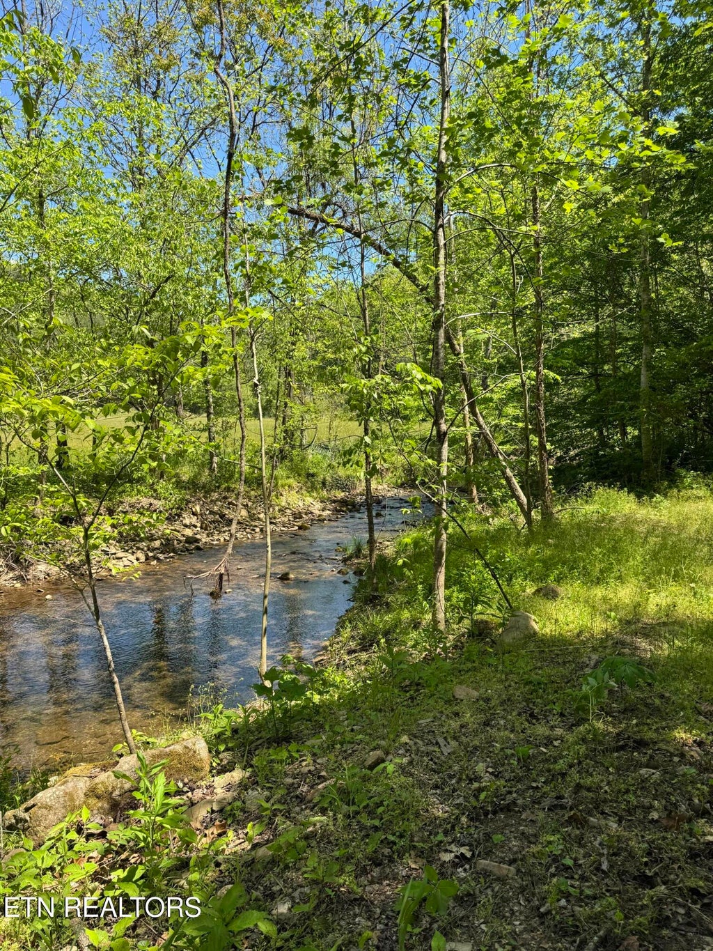 Photo of 915 Chestnut Valley Rd, Vonore, TN 37885 (MLS # 1356999)