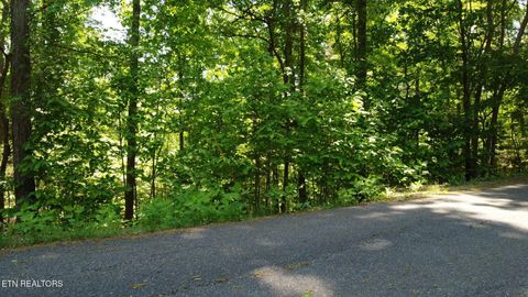 Deer Run Point 4B LaFollette TN 37766
